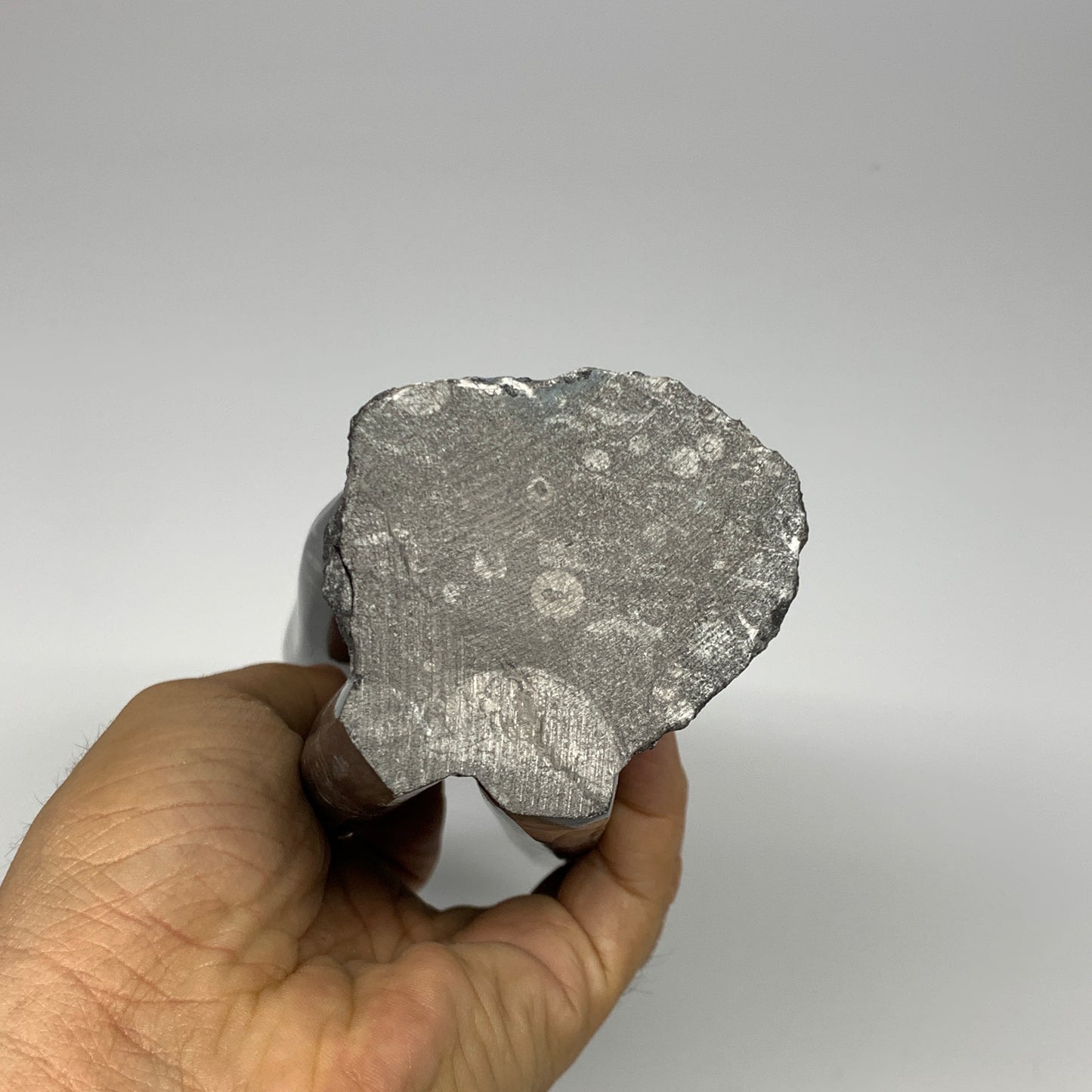 1100g, 8"x2.5"2.6" Black Fossils Orthoceras Sculpture Tower @Morocco, B23408