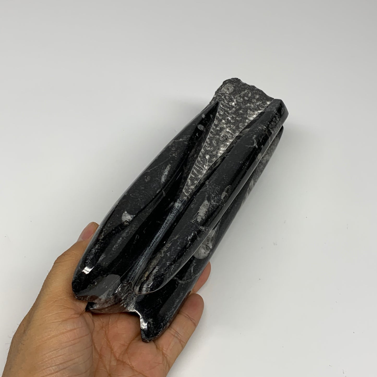 1100g, 8"x2.5"2.6" Black Fossils Orthoceras Sculpture Tower @Morocco, B23408