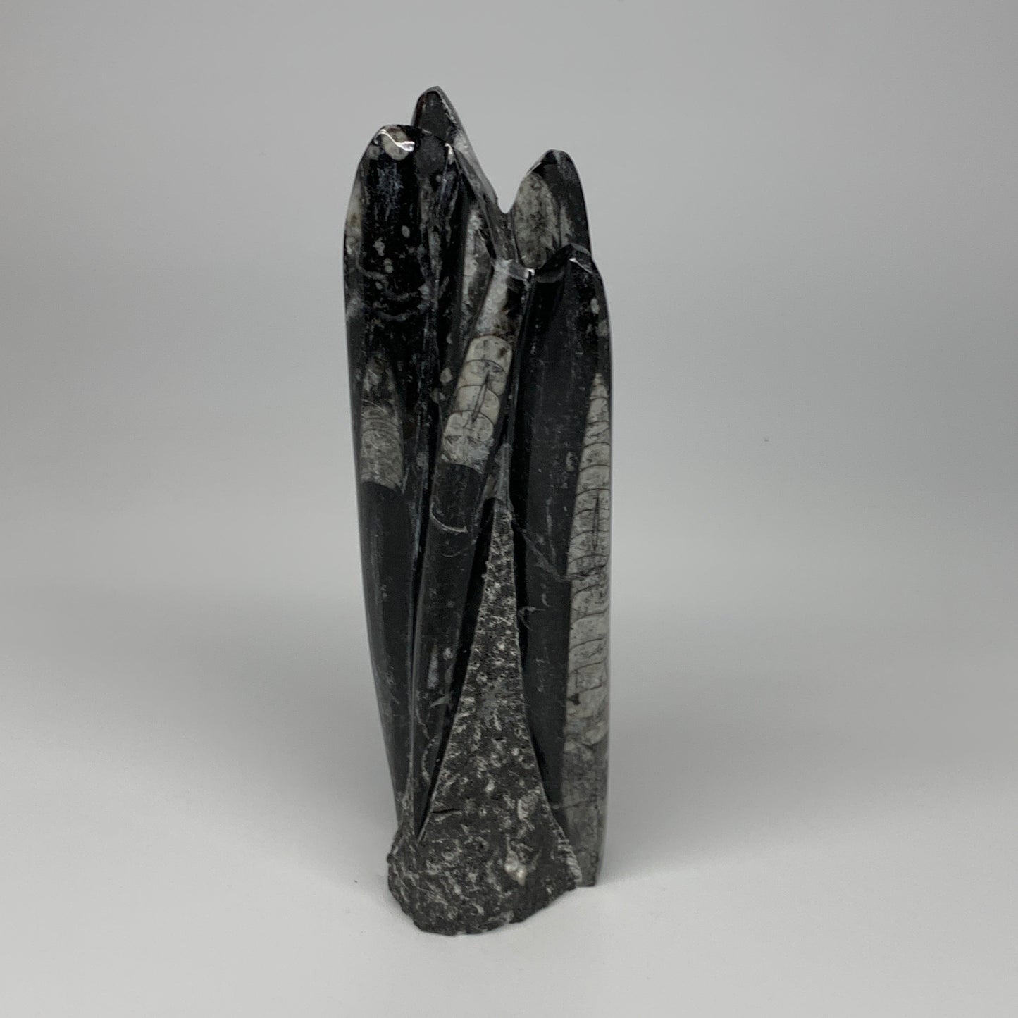 1100g, 8"x2.5"2.6" Black Fossils Orthoceras Sculpture Tower @Morocco, B23408