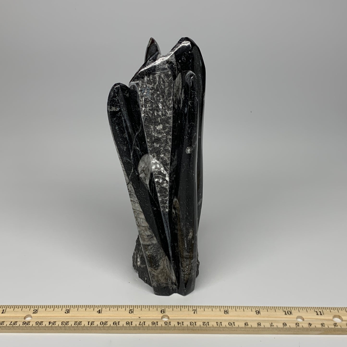 1100g, 8"x2.5"2.6" Black Fossils Orthoceras Sculpture Tower @Morocco, B23408