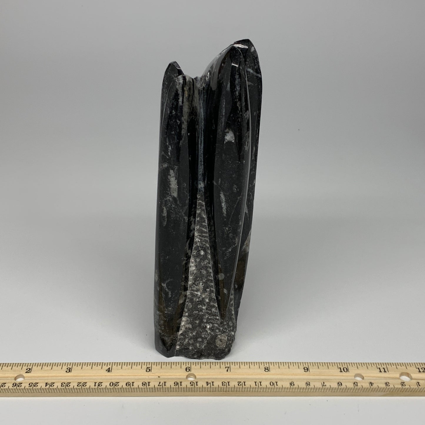 1100g, 8"x2.5"2.6" Black Fossils Orthoceras Sculpture Tower @Morocco, B23408