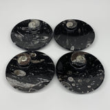 804g, 4pcs, 4.4" Small Black Fossils Ammonite Orthoceras Bowl Round Ring,B8834