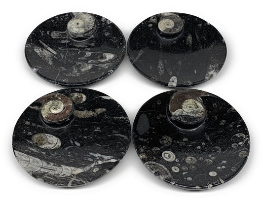 804g, 4pcs, 4.4" Small Black Fossils Ammonite Orthoceras Bowl Round Ring,B8834