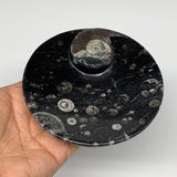 804g, 4pcs, 4.4" Small Black Fossils Ammonite Orthoceras Bowl Round Ring,B8834