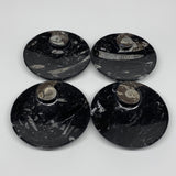 798g, 4pcs, 4.4" Small Black Fossils Ammonite Orthoceras Bowl Round Ring,B8835
