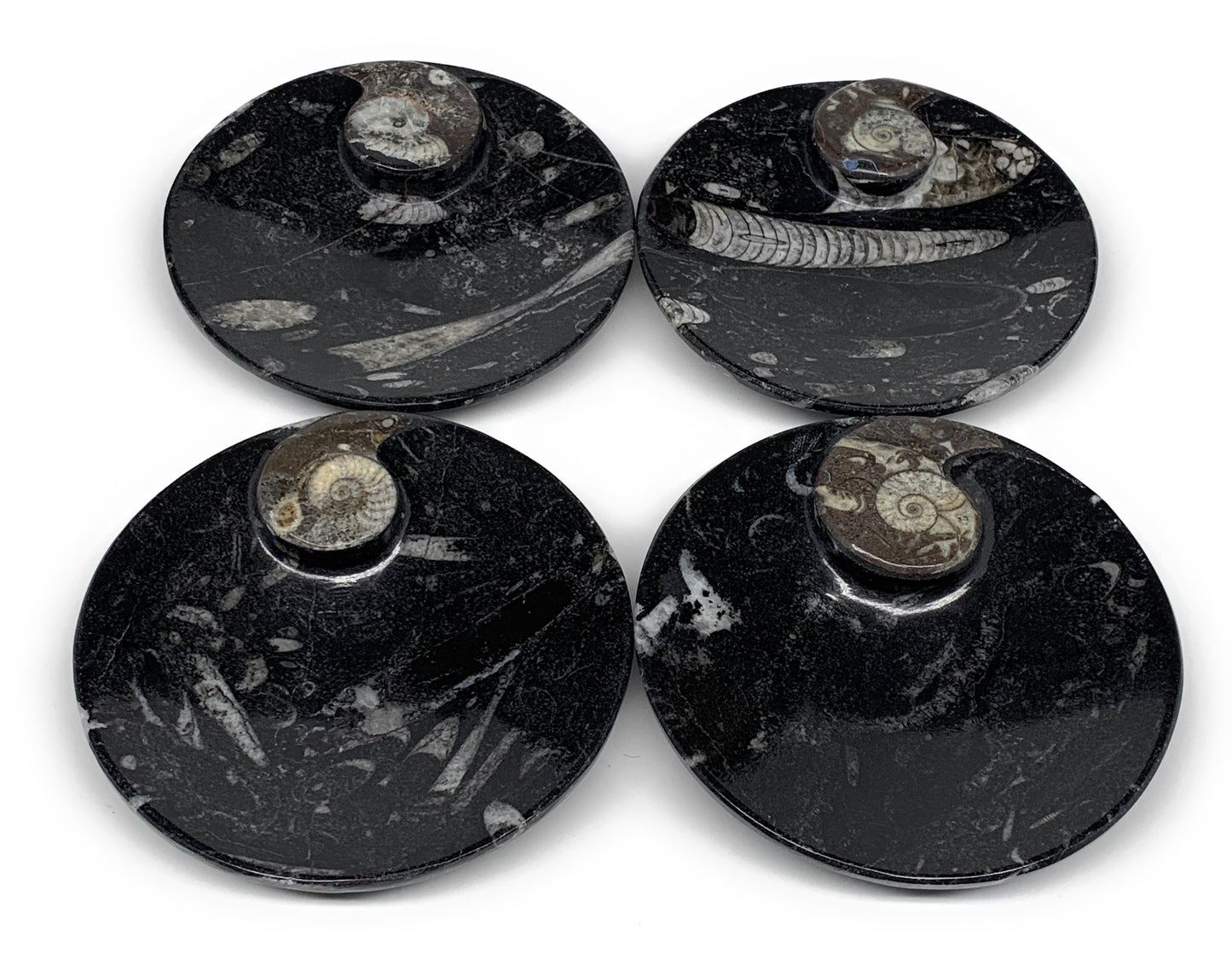 798g, 4pcs, 4.4" Small Black Fossils Ammonite Orthoceras Bowl Round Ring,B8835