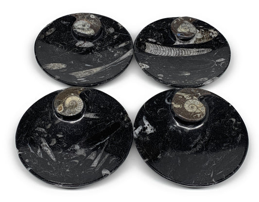 798g, 4pcs, 4.4" Small Black Fossils Ammonite Orthoceras Bowl Round Ring,B8835