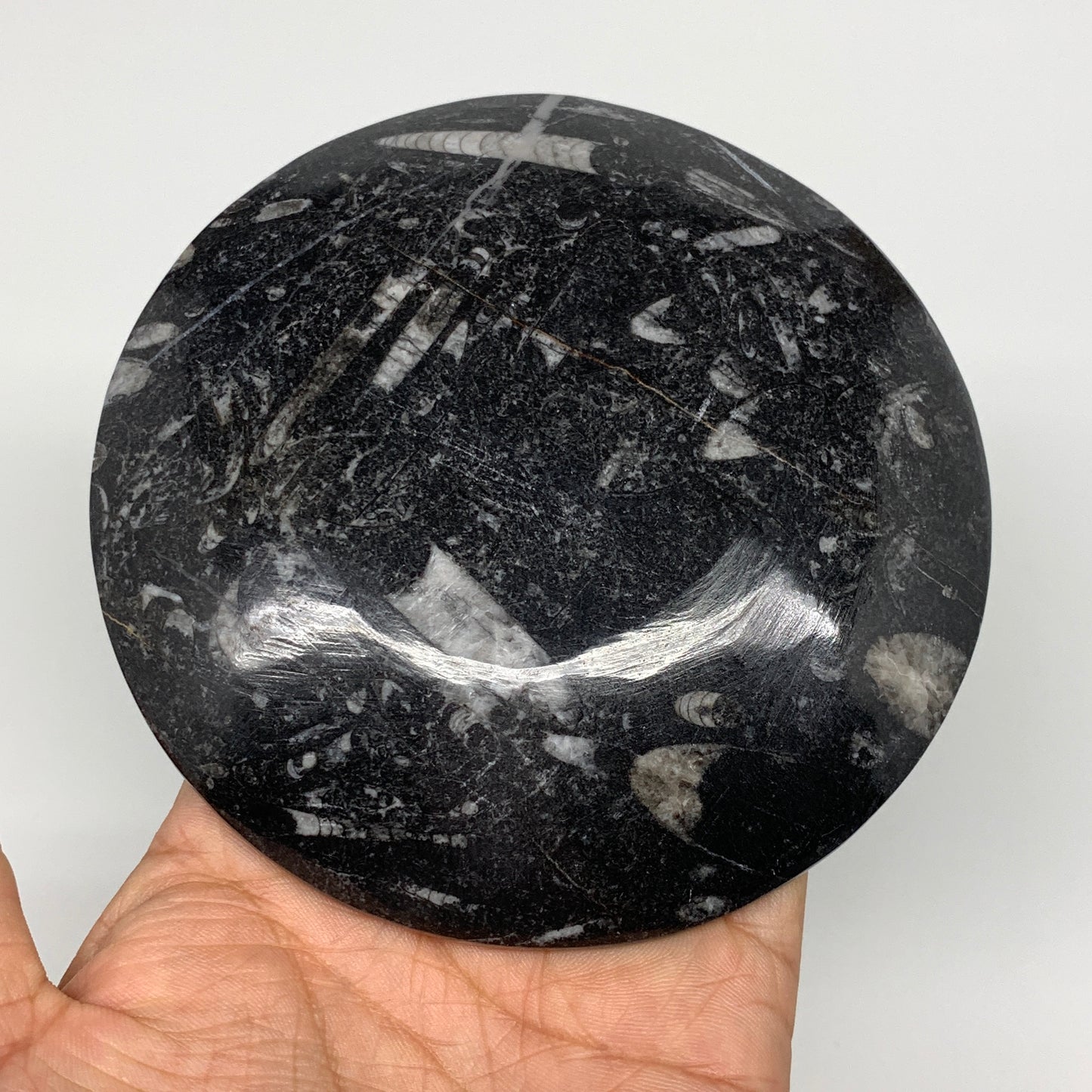 798g, 4pcs, 4.4" Small Black Fossils Ammonite Orthoceras Bowl Round Ring,B8835