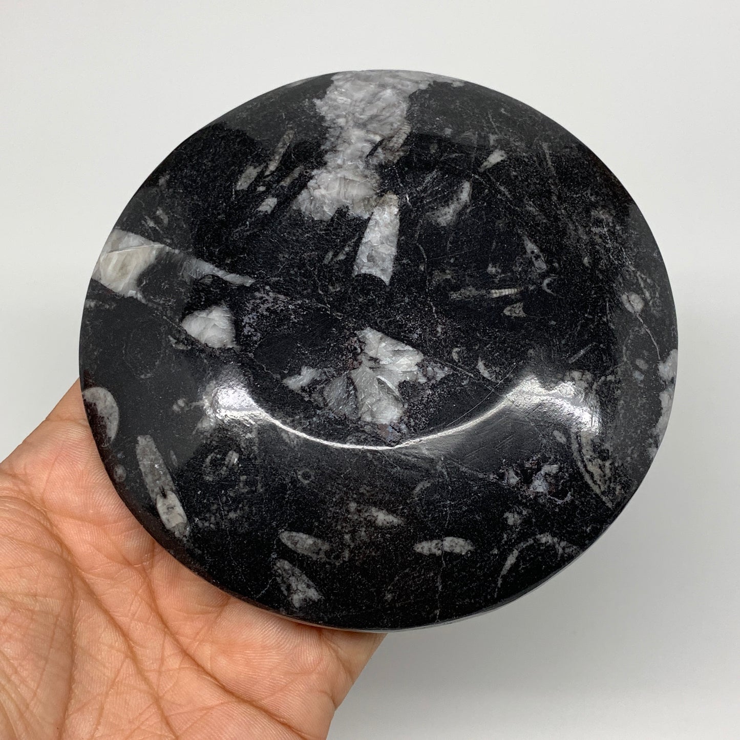 798g, 4pcs, 4.4" Small Black Fossils Ammonite Orthoceras Bowl Round Ring,B8835