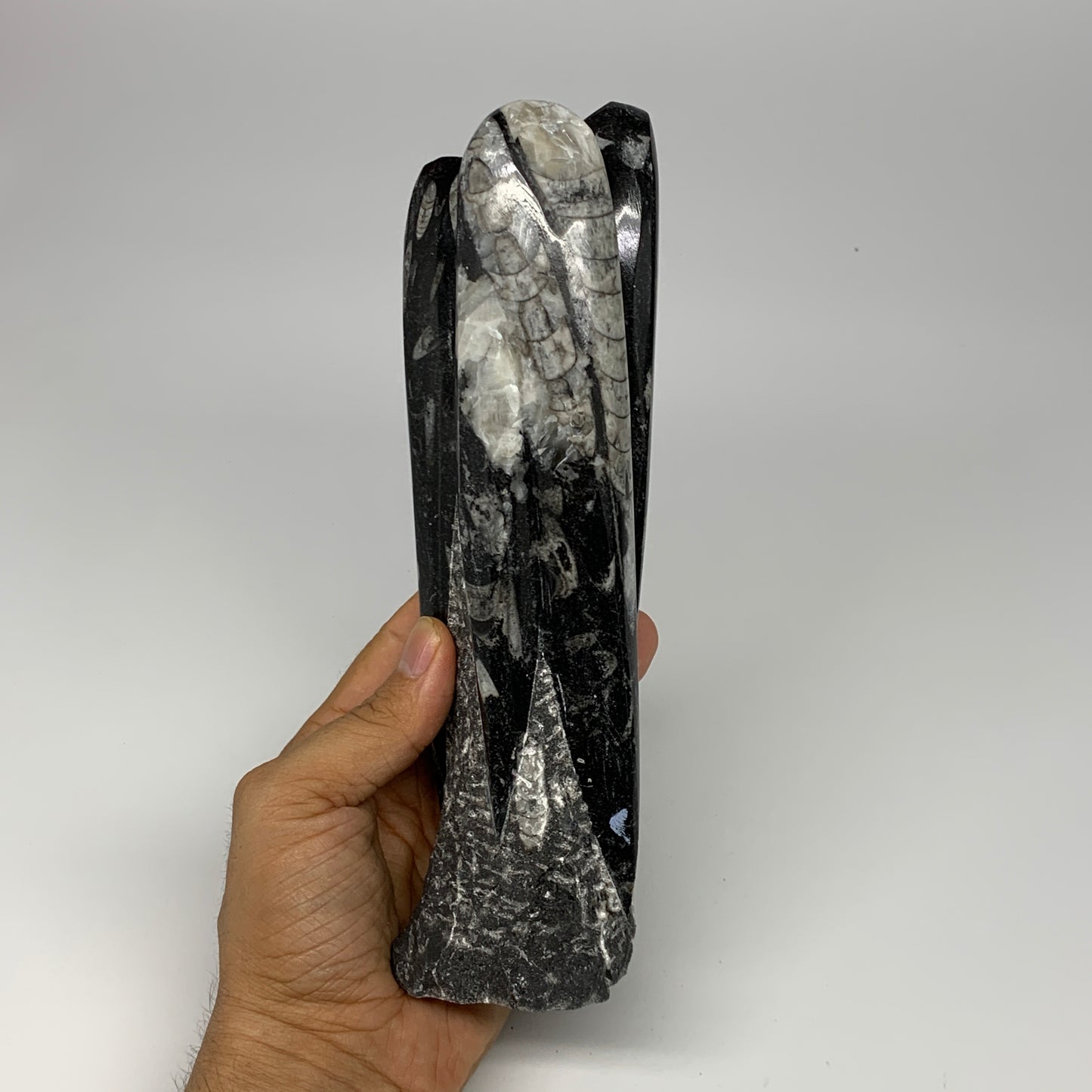 1140g, 8.25"x2.5"2.5" Black Fossils Orthoceras Sculpture Tower @Morocco, B23411