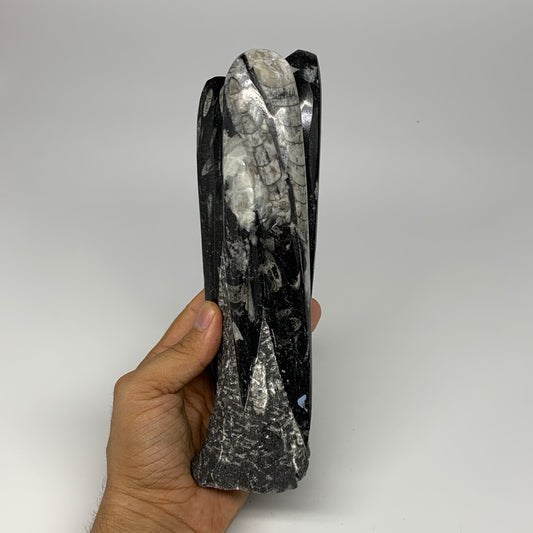 1140g, 8.25"x2.5"2.5" Black Fossils Orthoceras Sculpture Tower @Morocco, B23411