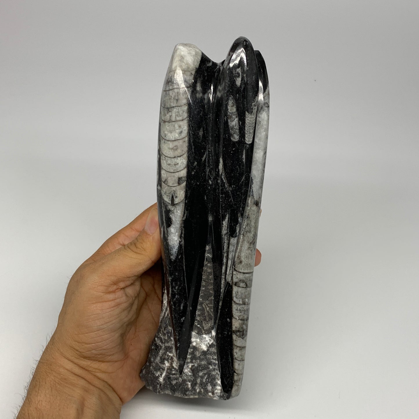 1140g, 8.25"x2.5"2.5" Black Fossils Orthoceras Sculpture Tower @Morocco, B23411