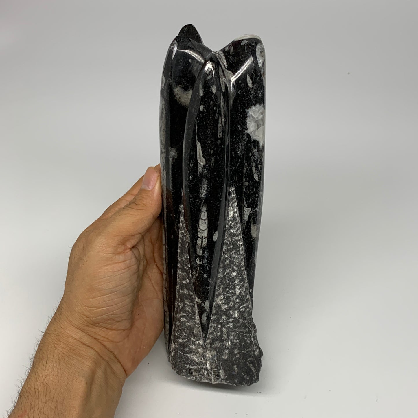 1140g, 8.25"x2.5"2.5" Black Fossils Orthoceras Sculpture Tower @Morocco, B23411