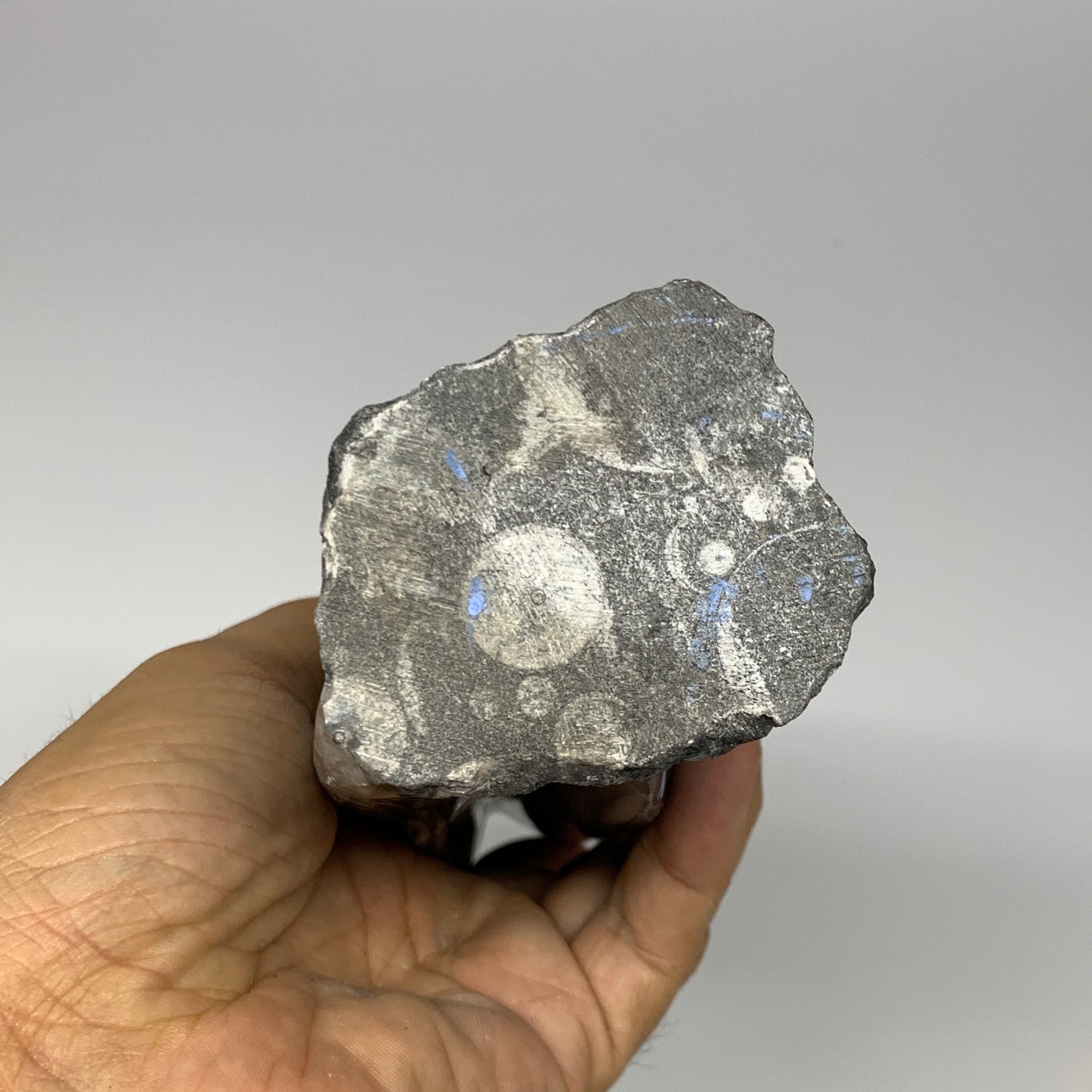 1140g, 8.25"x2.5"2.5" Black Fossils Orthoceras Sculpture Tower @Morocco, B23411