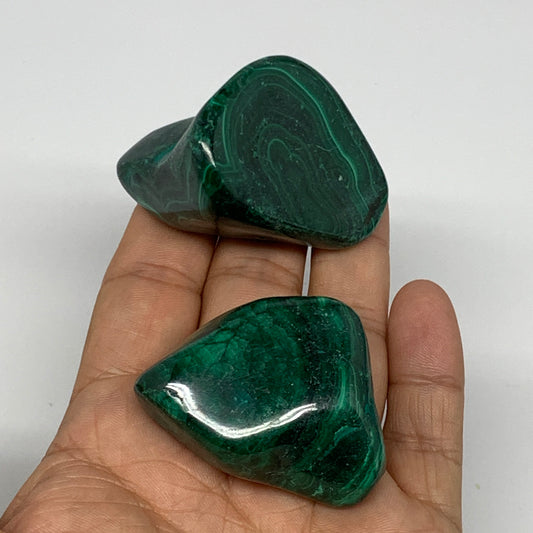 160.1g, 1.7"-1.9",2pcs, Natural Small Malachite Tumbled Polished Gemstone, B1858