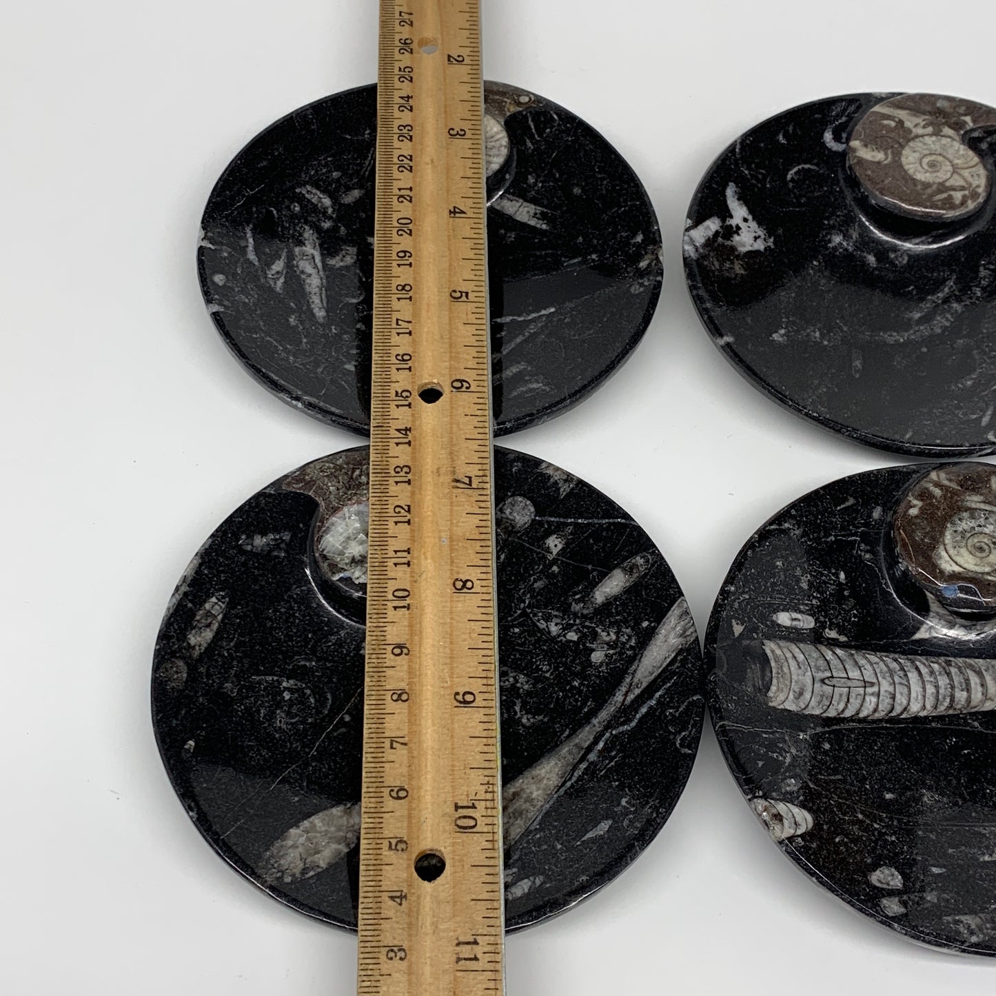 798g, 4pcs, 4.4" Small Black Fossils Ammonite Orthoceras Bowl Round Ring,B8835