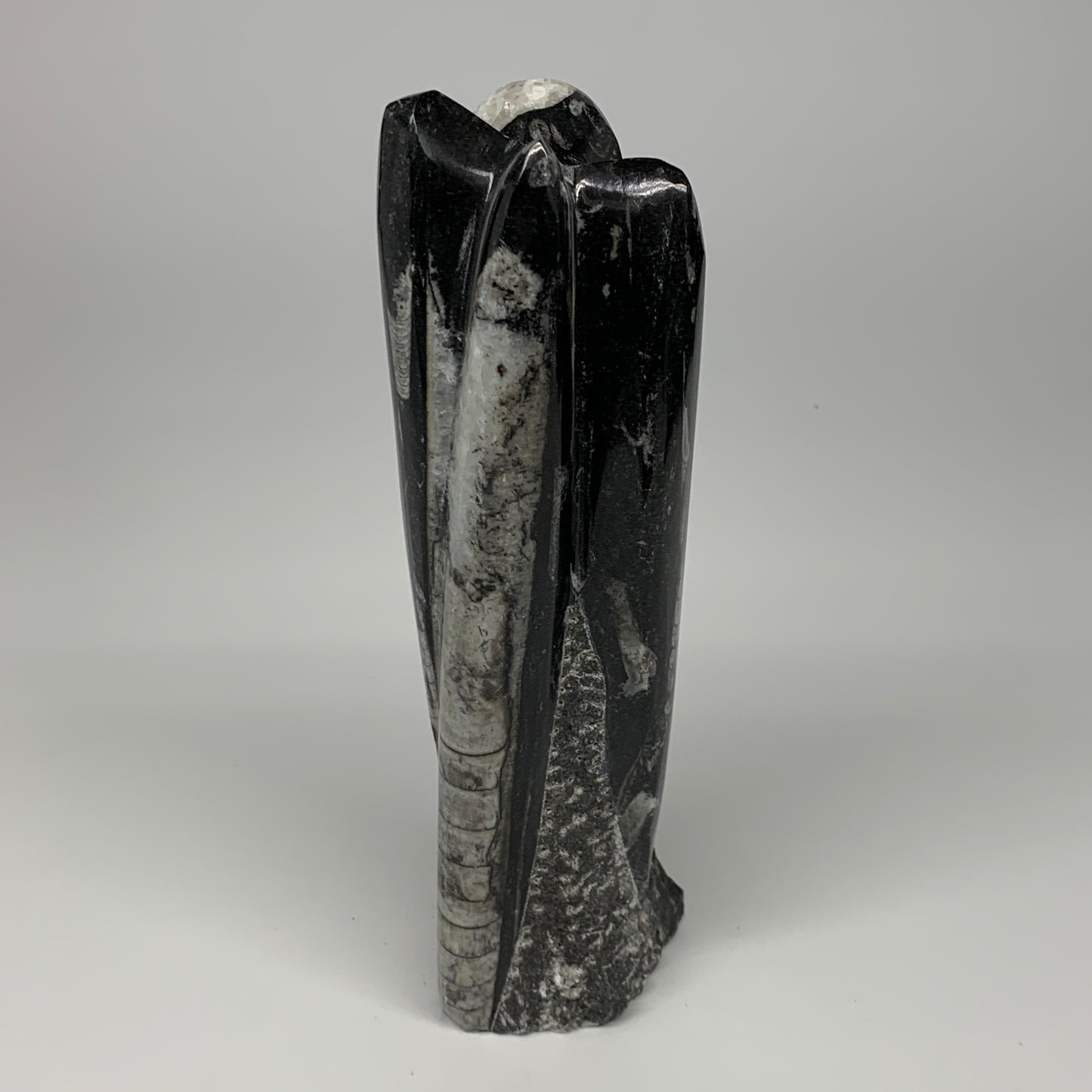 1140g, 8.25"x2.5"2.5" Black Fossils Orthoceras Sculpture Tower @Morocco, B23411