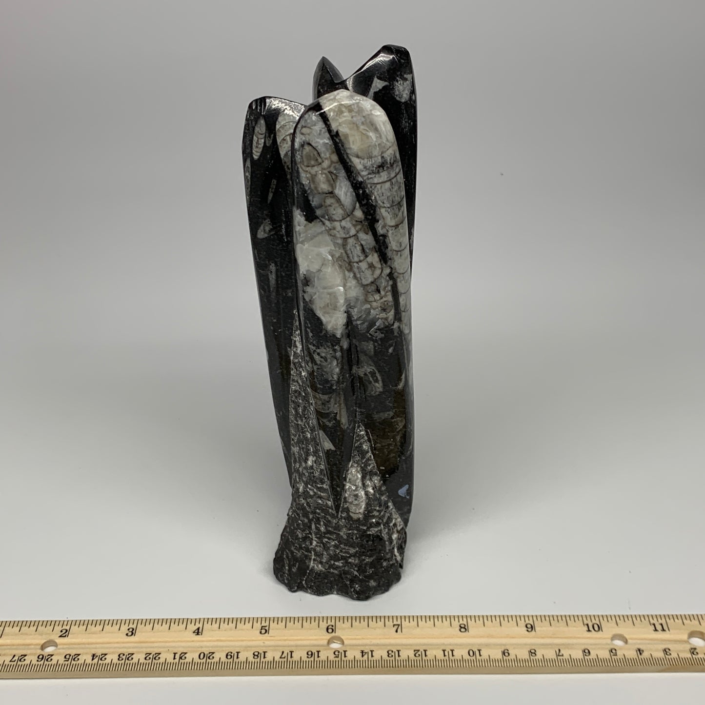 1140g, 8.25"x2.5"2.5" Black Fossils Orthoceras Sculpture Tower @Morocco, B23411