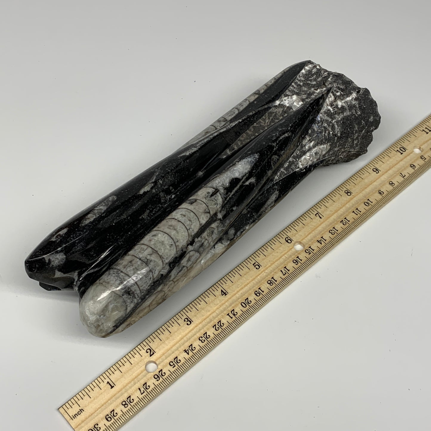 1140g, 8.25"x2.5"2.5" Black Fossils Orthoceras Sculpture Tower @Morocco, B23411