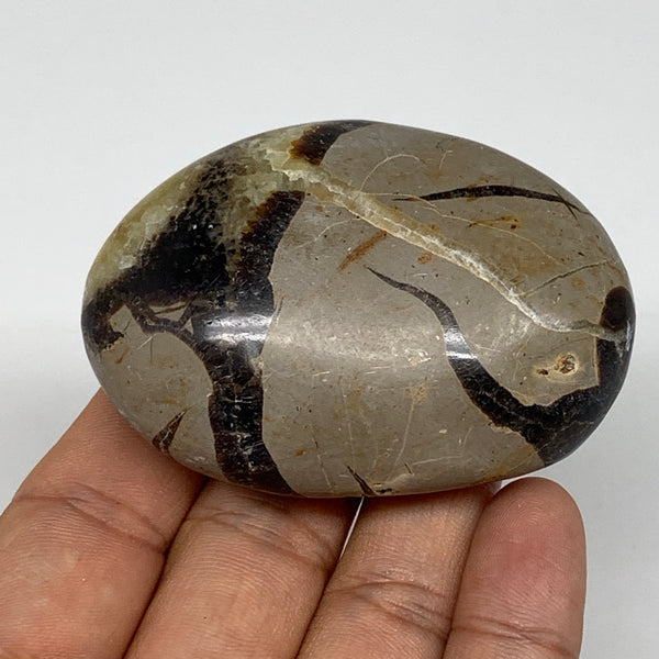 109g,2.6"x1.8"x1" Septarian Nodule Palm-Stone Polished Reiki Madagascar,B5119