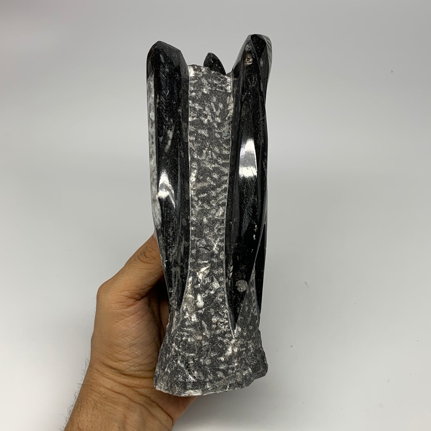 1325g, 7.5"x3.3"x3" Black Fossils Orthoceras Sculpture Tower @Morocco, B23412