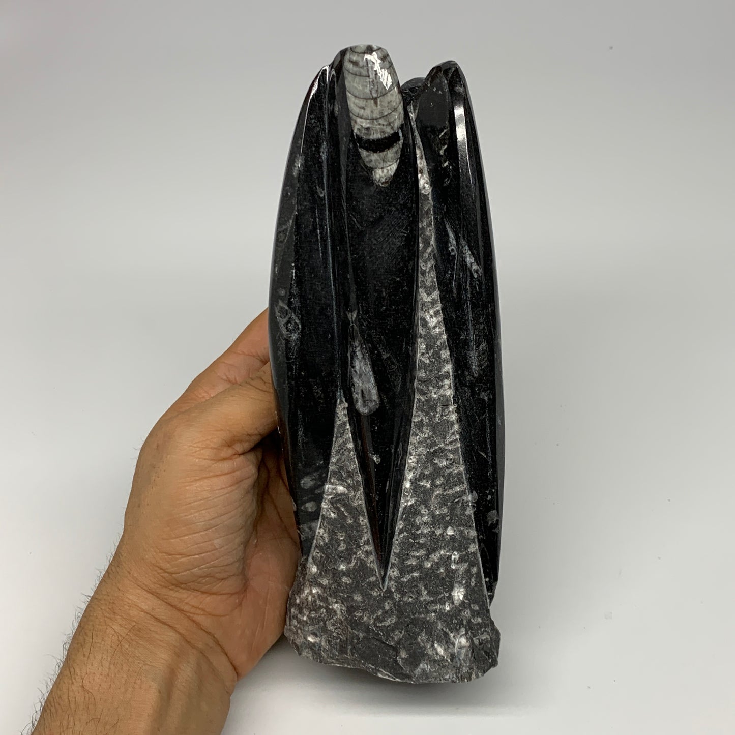 1325g, 7.5"x3.3"x3" Black Fossils Orthoceras Sculpture Tower @Morocco, B23412