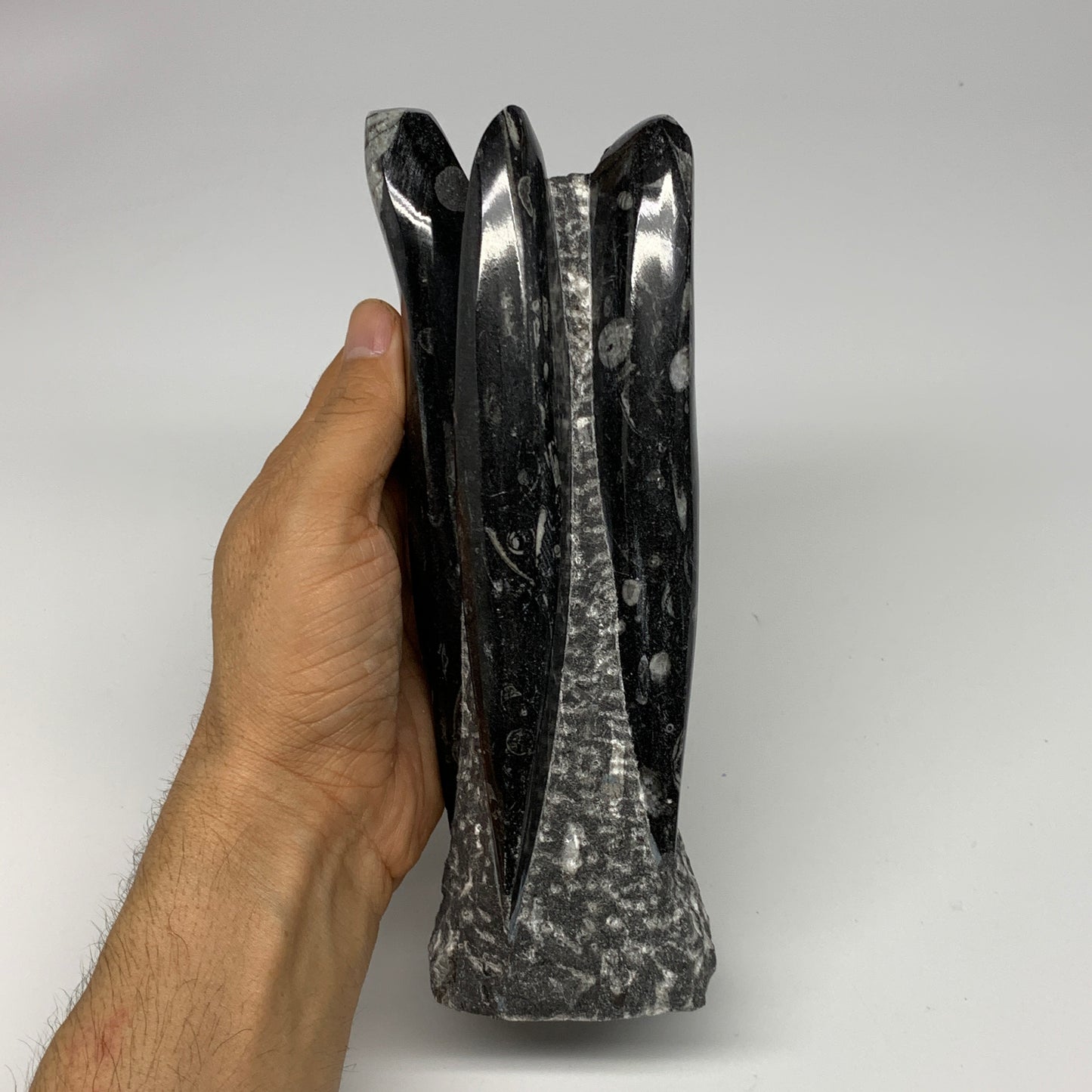 1325g, 7.5"x3.3"x3" Black Fossils Orthoceras Sculpture Tower @Morocco, B23412