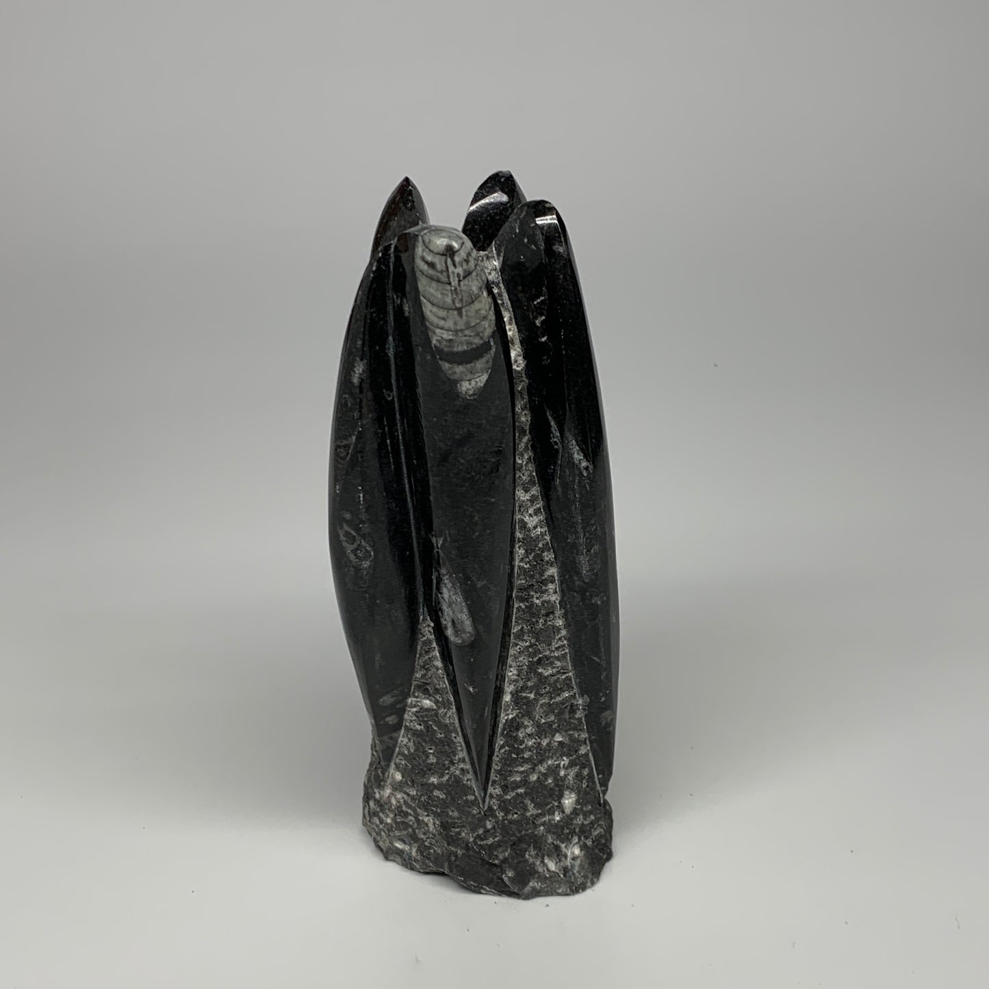 1325g, 7.5"x3.3"x3" Black Fossils Orthoceras Sculpture Tower @Morocco, B23412