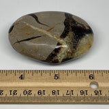 109g,2.6"x1.8"x1" Septarian Nodule Palm-Stone Polished Reiki Madagascar,B5119