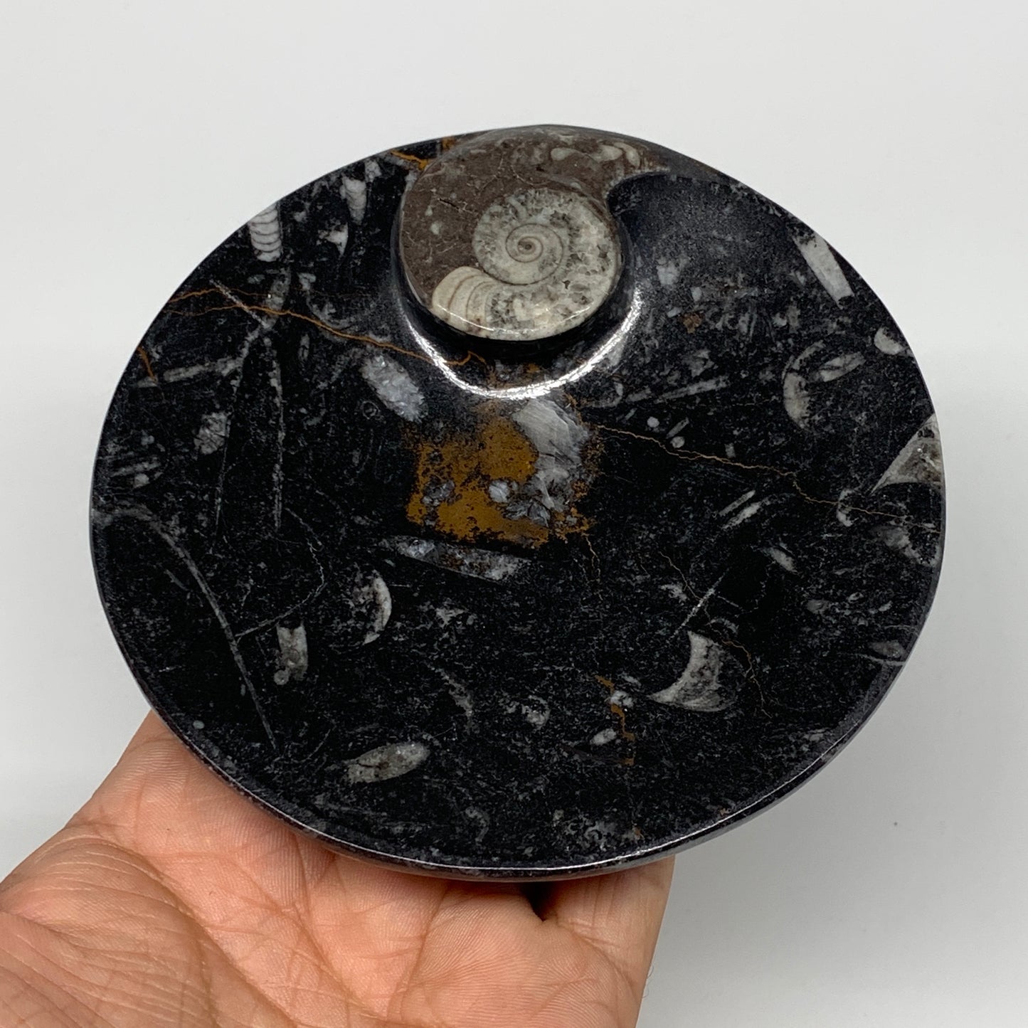 800g, 4pcs, 4.4" Small Black Fossils Ammonite Orthoceras Bowl Round Ring,B8837