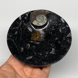 800g, 4pcs, 4.4" Small Black Fossils Ammonite Orthoceras Bowl Round Ring,B8837