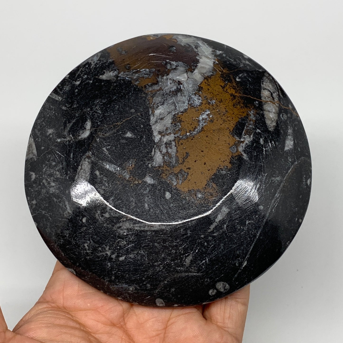 800g, 4pcs, 4.4" Small Black Fossils Ammonite Orthoceras Bowl Round Ring,B8837