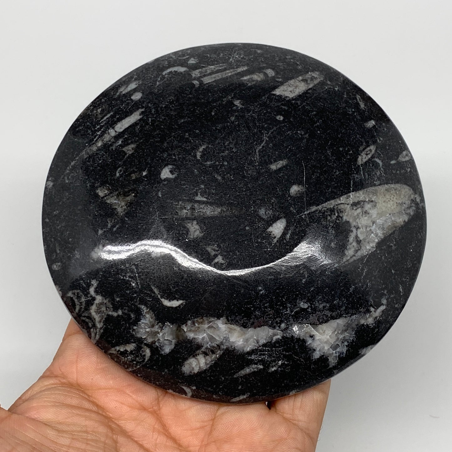 800g, 4pcs, 4.4" Small Black Fossils Ammonite Orthoceras Bowl Round Ring,B8837