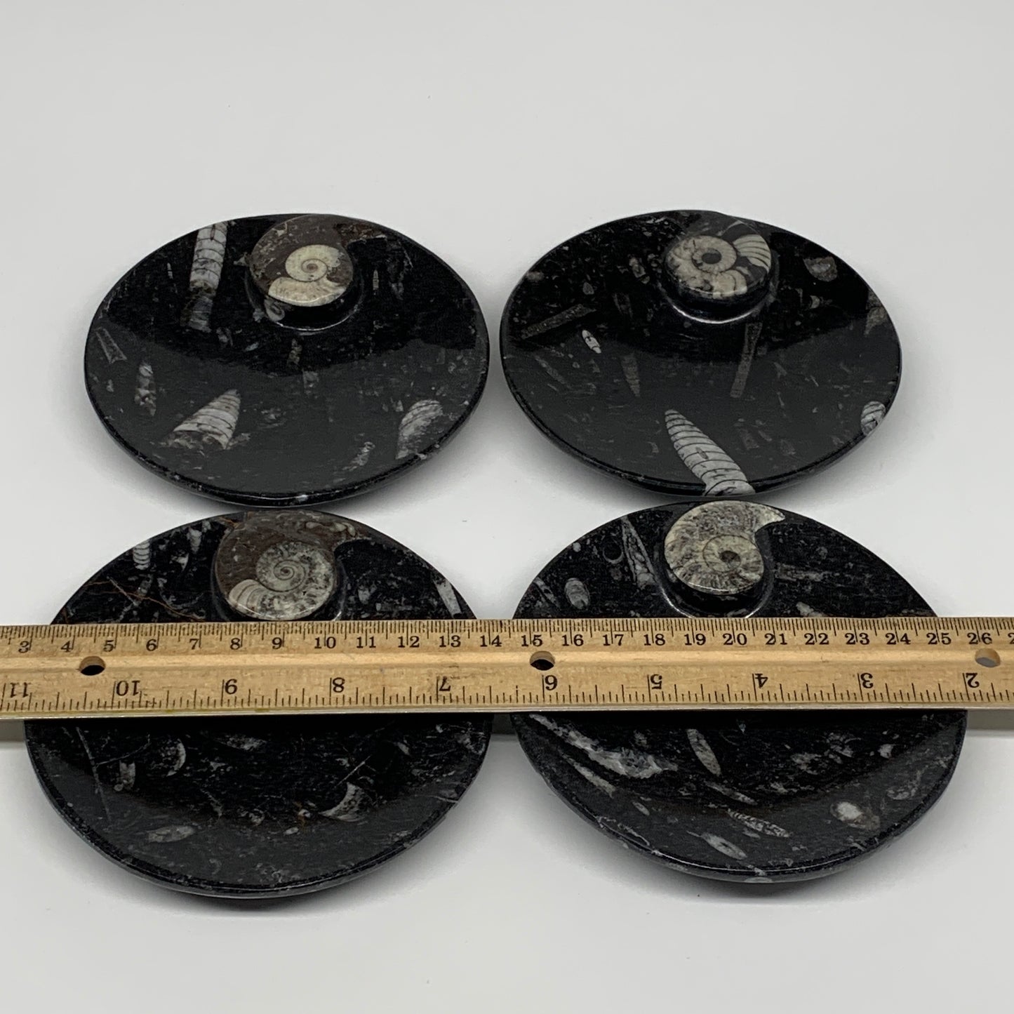 800g, 4pcs, 4.4" Small Black Fossils Ammonite Orthoceras Bowl Round Ring,B8837