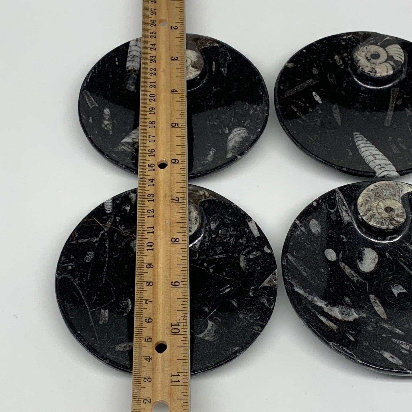 800g, 4pcs, 4.4" Small Black Fossils Ammonite Orthoceras Bowl Round Ring,B8837
