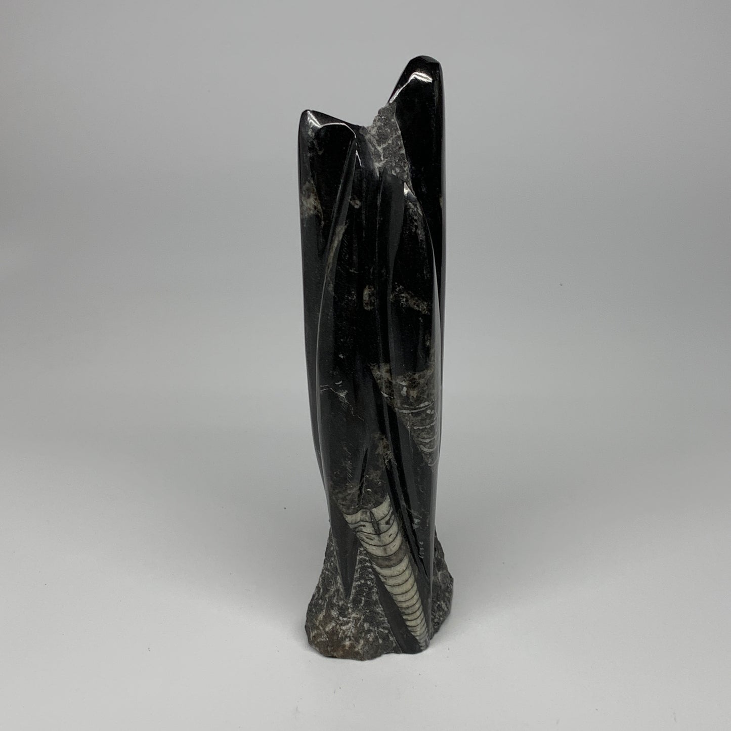 1130g, 9.1"x2.3"x2" Black Fossils Orthoceras Sculpture Tower @Morocco, B23413