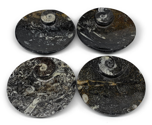 786g, 4pcs, 4.4" Small Black Fossils Ammonite Orthoceras Bowl Round Ring,B8838