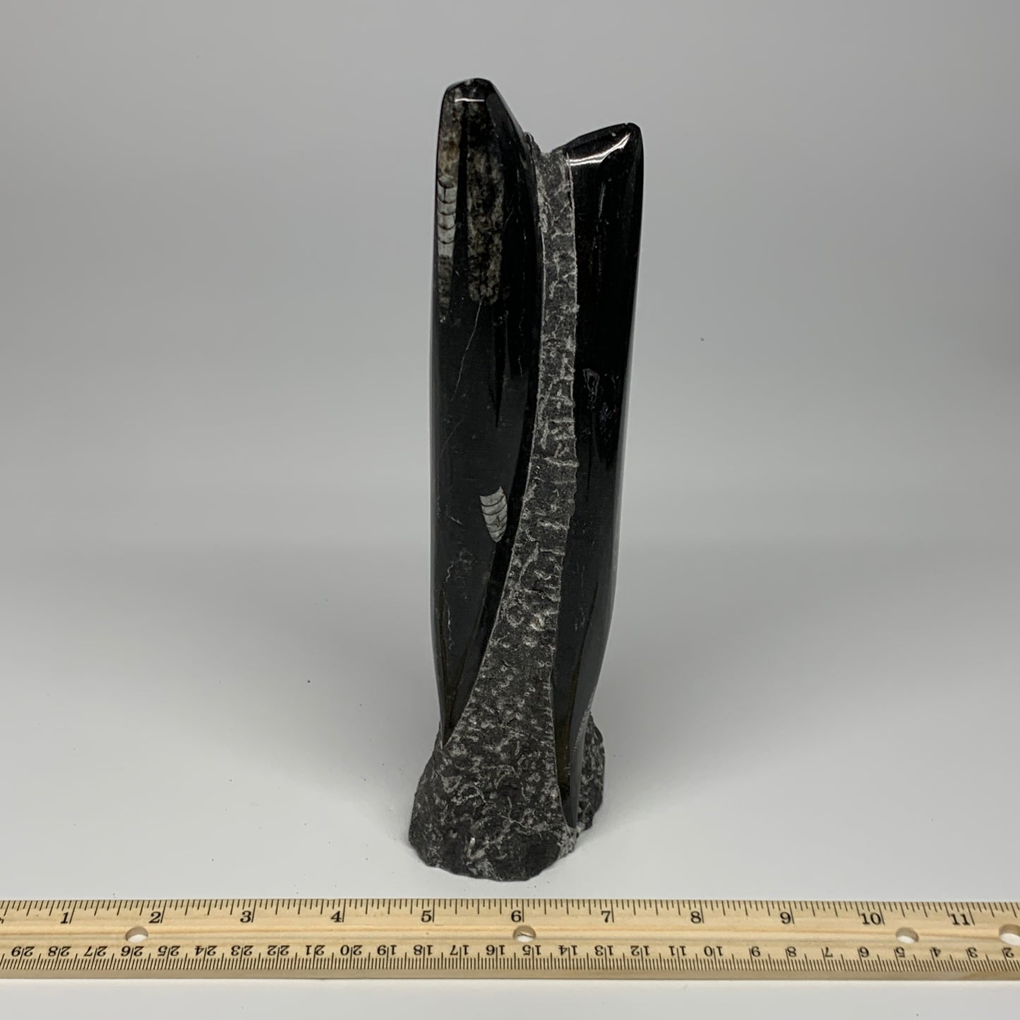 1130g, 9.1"x2.3"x2" Black Fossils Orthoceras Sculpture Tower @Morocco, B23413