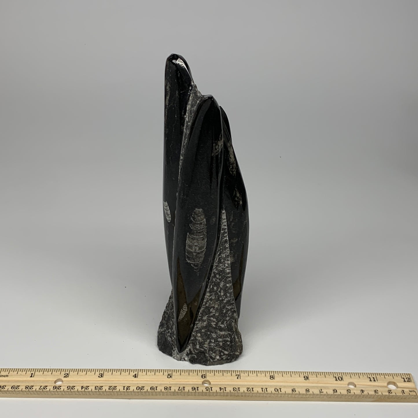 1130g, 9.1"x2.3"x2" Black Fossils Orthoceras Sculpture Tower @Morocco, B23413