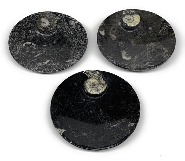 562g, 3pcs, 4.4" Small Black Fossils Ammonite Orthoceras Bowl Round Ring,B8839