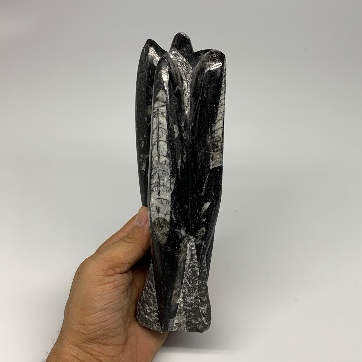 1120g, 7.75"x3"x2.3" Black Fossils Orthoceras Sculpture Tower @Morocco, B23416