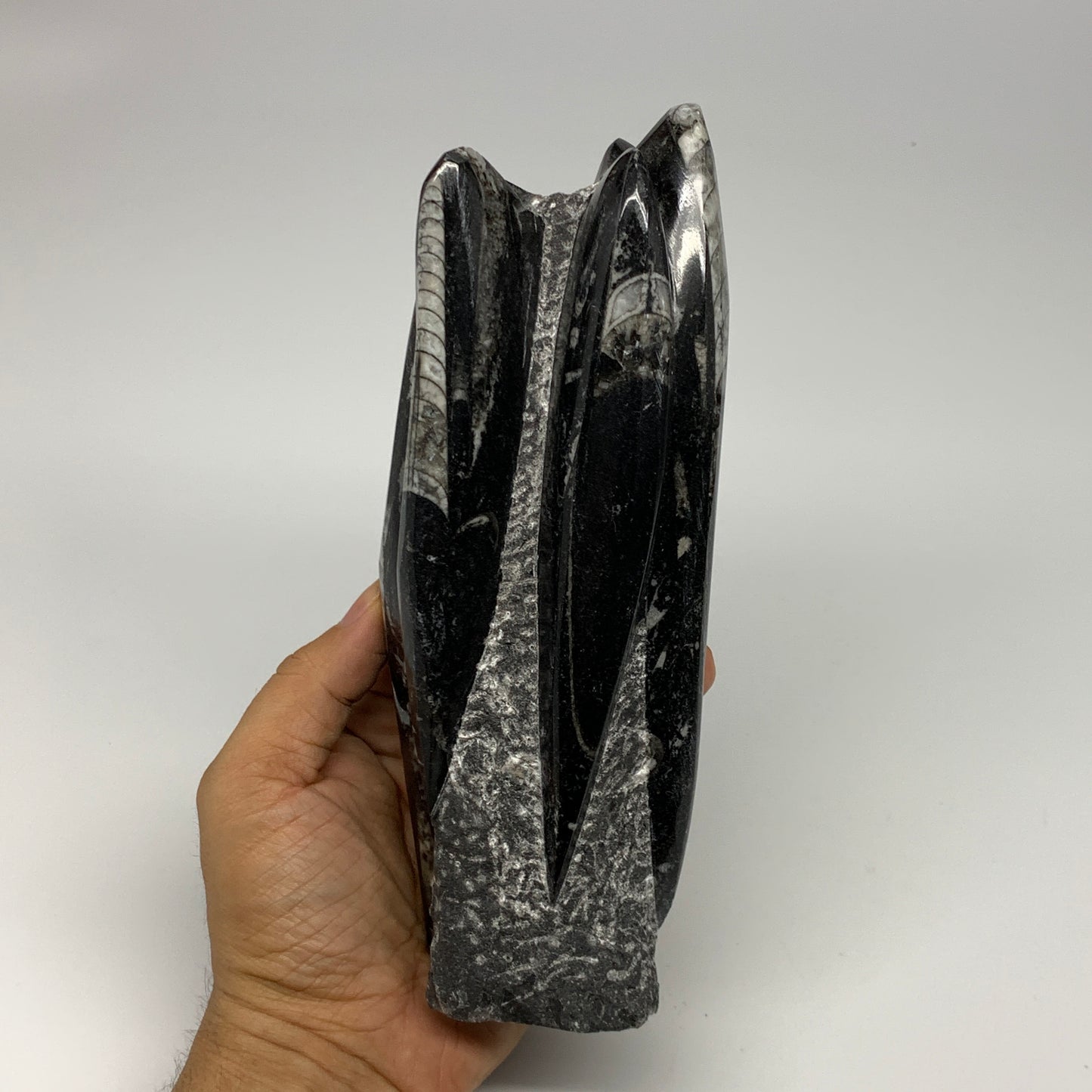 1120g, 7.75"x3"x2.3" Black Fossils Orthoceras Sculpture Tower @Morocco, B23416