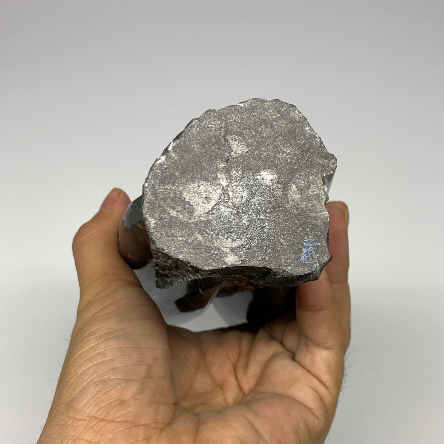 1120g, 7.75"x3"x2.3" Black Fossils Orthoceras Sculpture Tower @Morocco, B23416