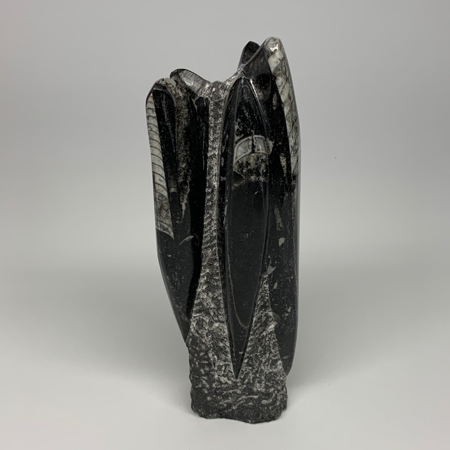 1120g, 7.75"x3"x2.3" Black Fossils Orthoceras Sculpture Tower @Morocco, B23416