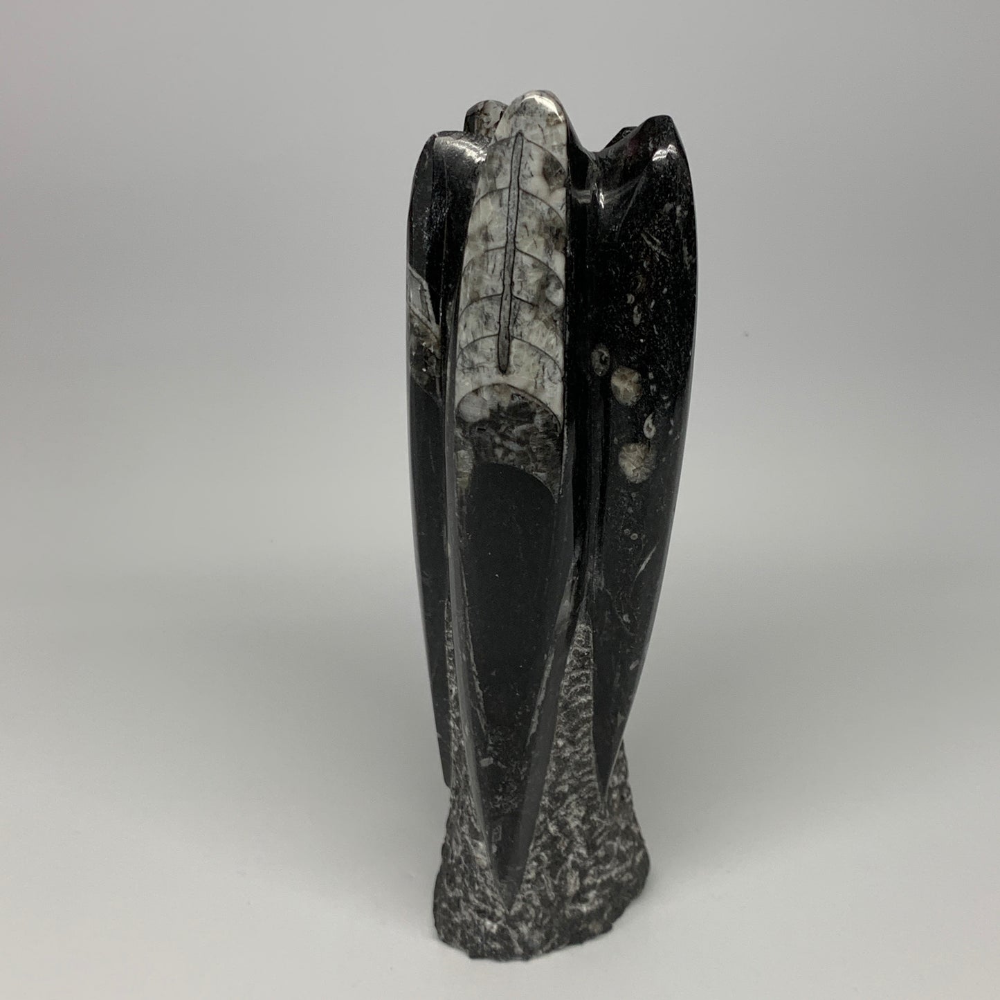 1120g, 7.75"x3"x2.3" Black Fossils Orthoceras Sculpture Tower @Morocco, B23416