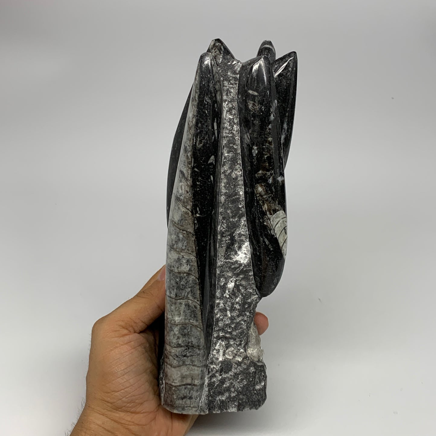 1435g, 8.5"x2.9"x2.3" Black Fossils Orthoceras Sculpture Tower @Morocco, B23417