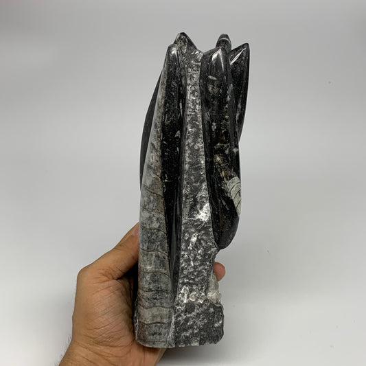 1435g, 8.5"x2.9"x2.3" Black Fossils Orthoceras Sculpture Tower @Morocco, B23417