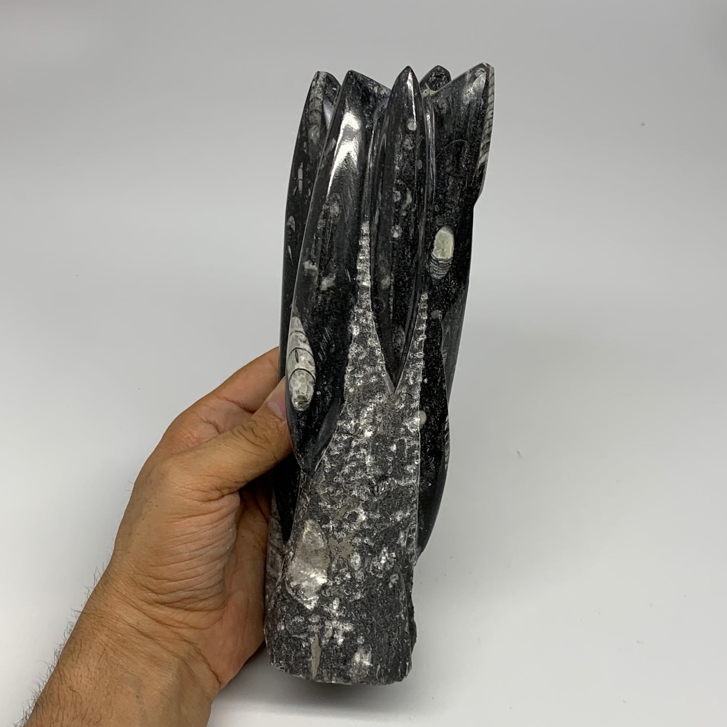 1435g, 8.5"x2.9"x2.3" Black Fossils Orthoceras Sculpture Tower @Morocco, B23417
