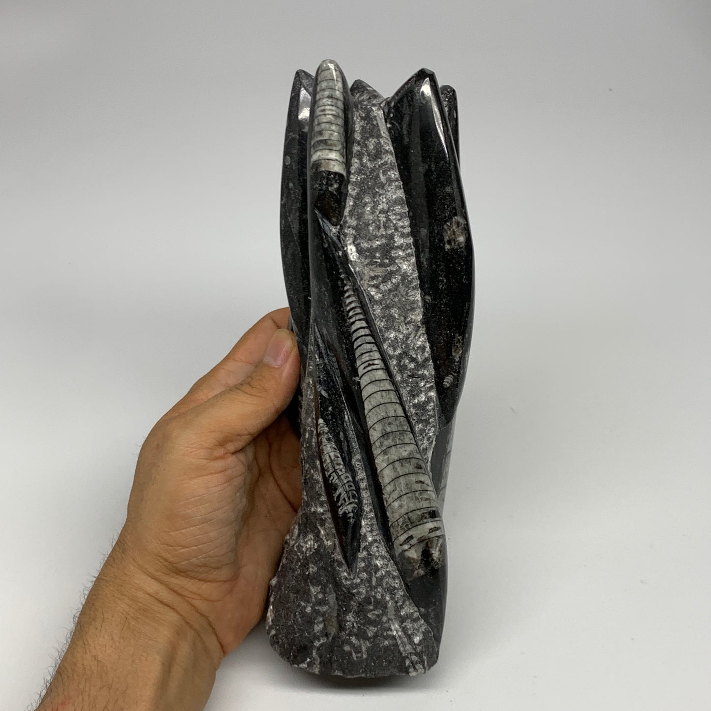1435g, 8.5"x2.9"x2.3" Black Fossils Orthoceras Sculpture Tower @Morocco, B23417
