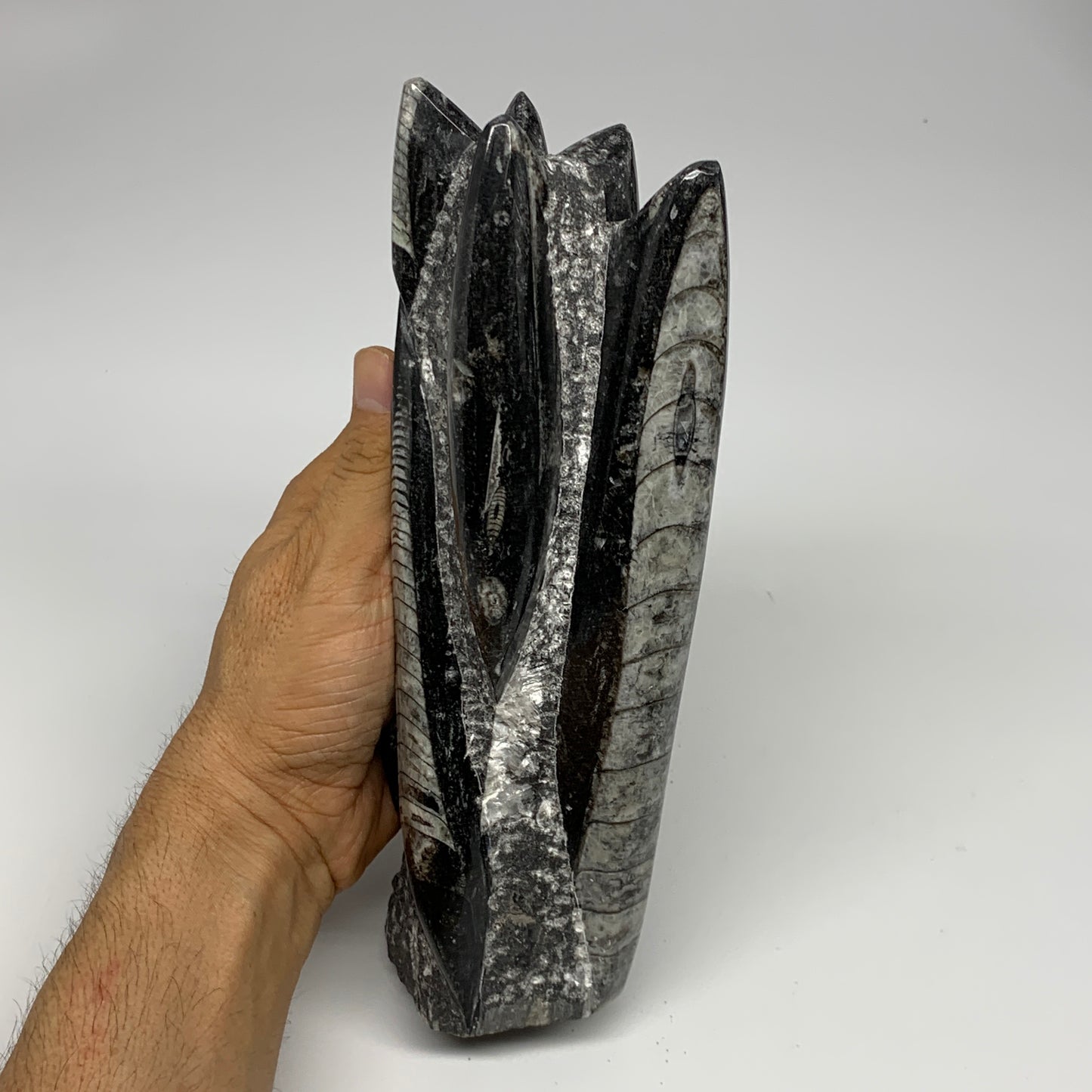 1435g, 8.5"x2.9"x2.3" Black Fossils Orthoceras Sculpture Tower @Morocco, B23417